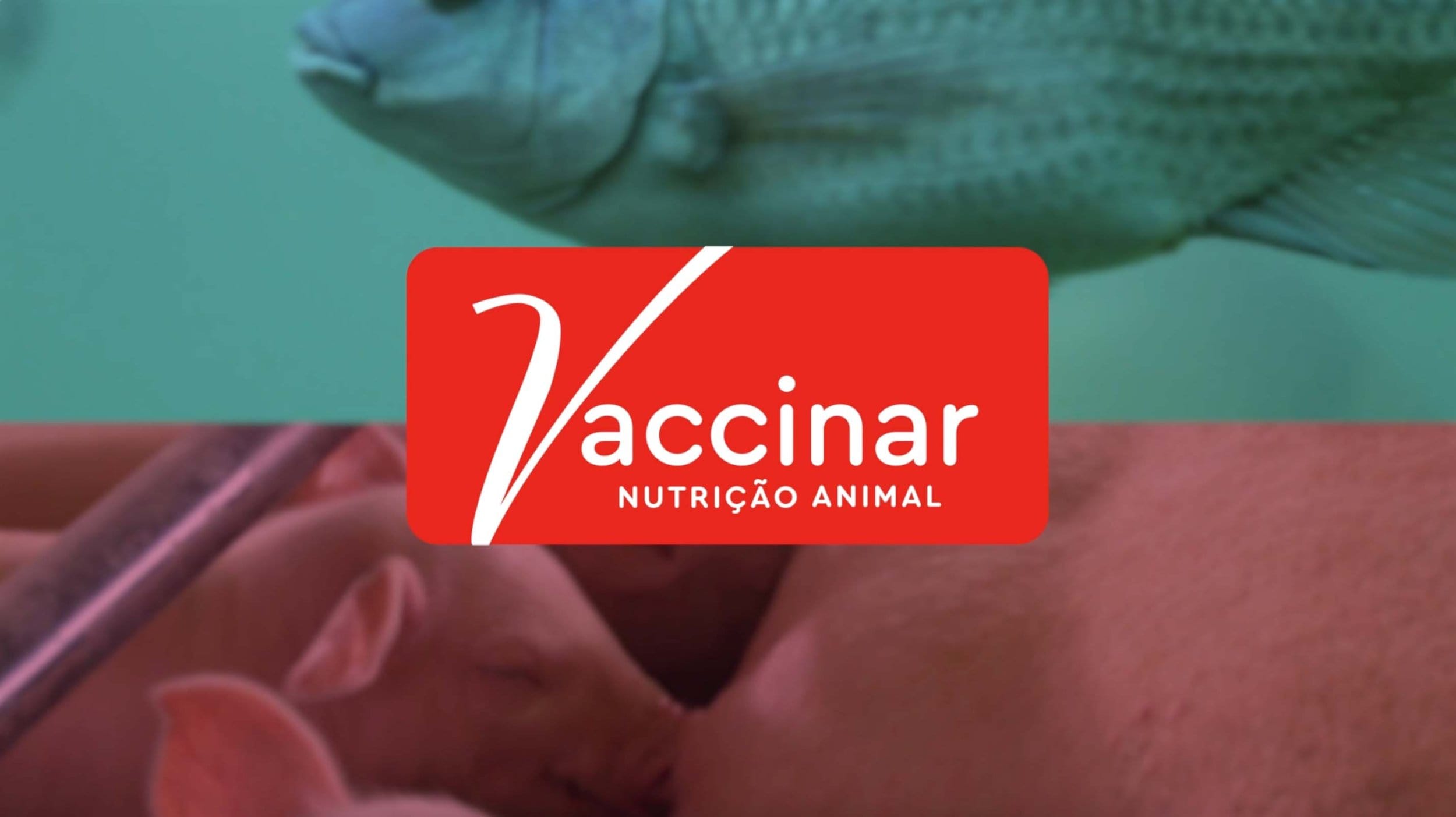 Logo da Vaccinar Nutrição Animal com imagens de peixes e porcos em segundo plano.